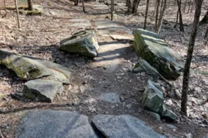 is mountain biking truly important
