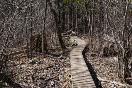 hiking north and south dogsled at SMCA